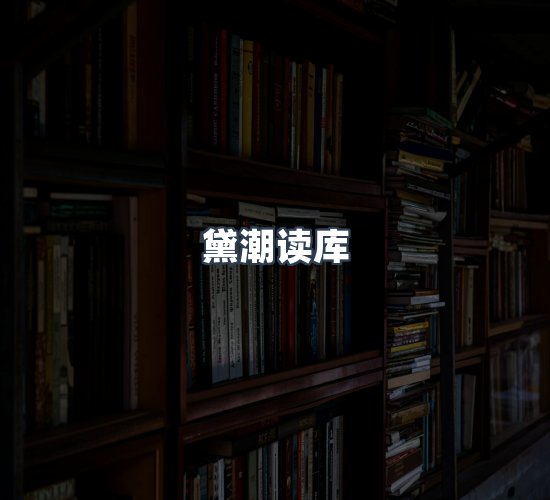 关于黛潮读库